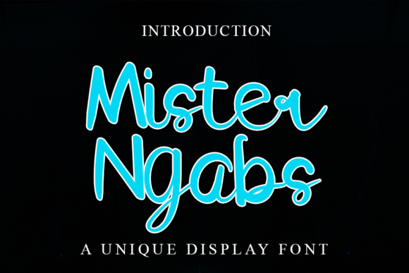 Mister Ngabs: A Stylish Script Font
