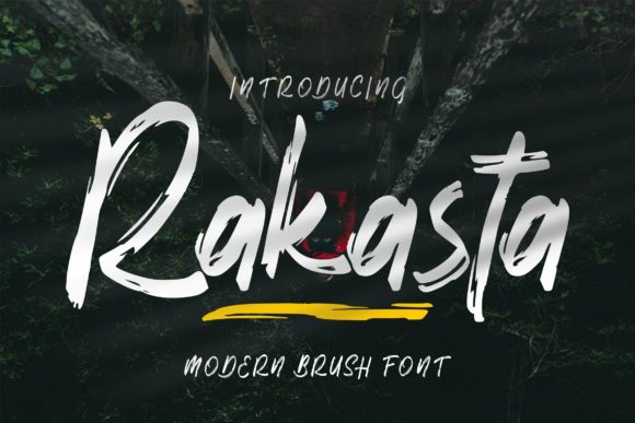 Rakasta: A Modern Script Font for Business