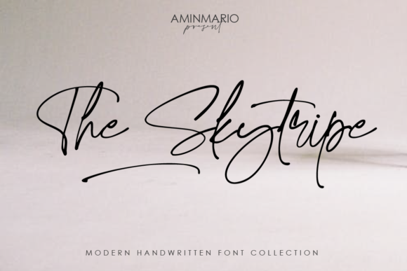 The Skytripe: A Font That Elevates Small Business